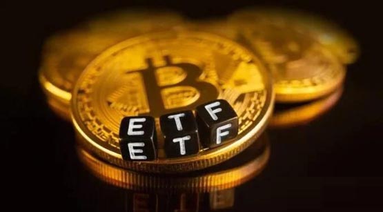 SEC批准贝莱德比特币ETF期权交易！Bitwise看好重启狂暴牛市